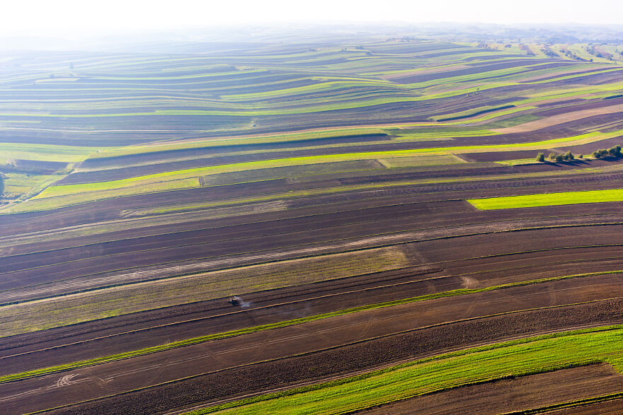 The Farmlands Of Małopolska