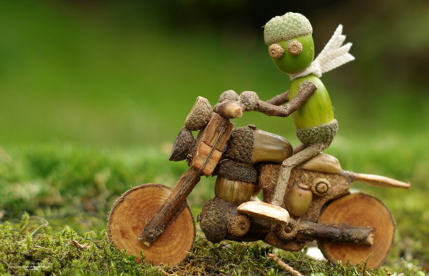 Meet The Acorn People Of Shirebrook Valley Meet The Acorn People Of Shirebrook Valley