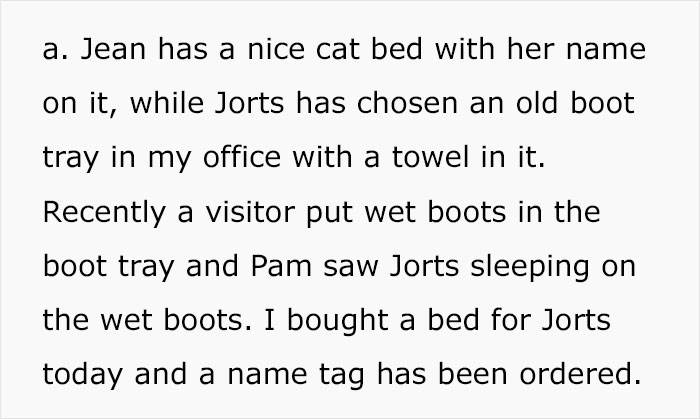 Colleague Makes Woman Cry By Saying One Of The Office Cats Is Dumb And The Matter Reaches HR