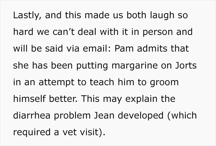Colleague Makes Woman Cry By Saying One Of The Office Cats Is Dumb And The Matter Reaches HR
