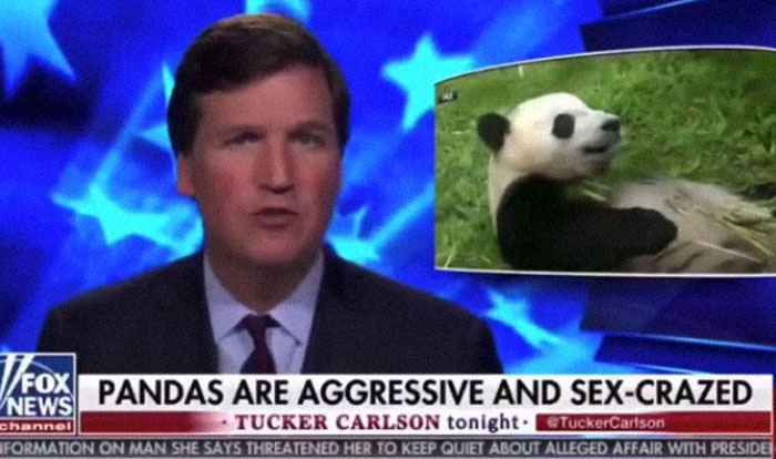 American Living In Germany Lists All The Reasons Why He Wouldn&rsquo;t Go Back, And It&rsquo;s Painfully Accurate