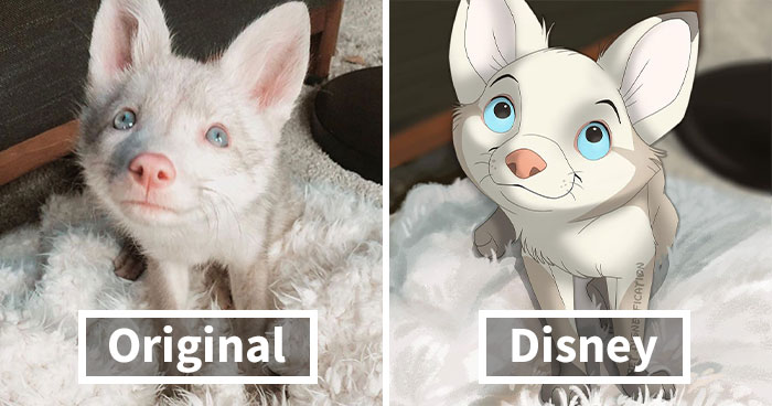 People Send Pics Of Their Pets To This Artist And She Disneyfies Them (30 New Pics)