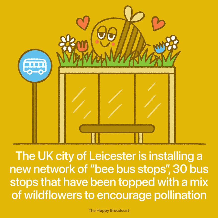 I’m Honestly Fed Up With All The Bad News So I Illustrated The Best News Of 2021