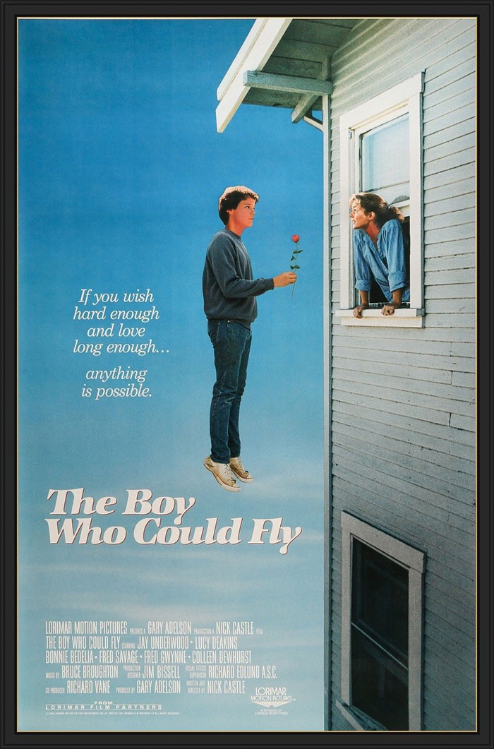 Poster of The Boy Who Could Fly movie 