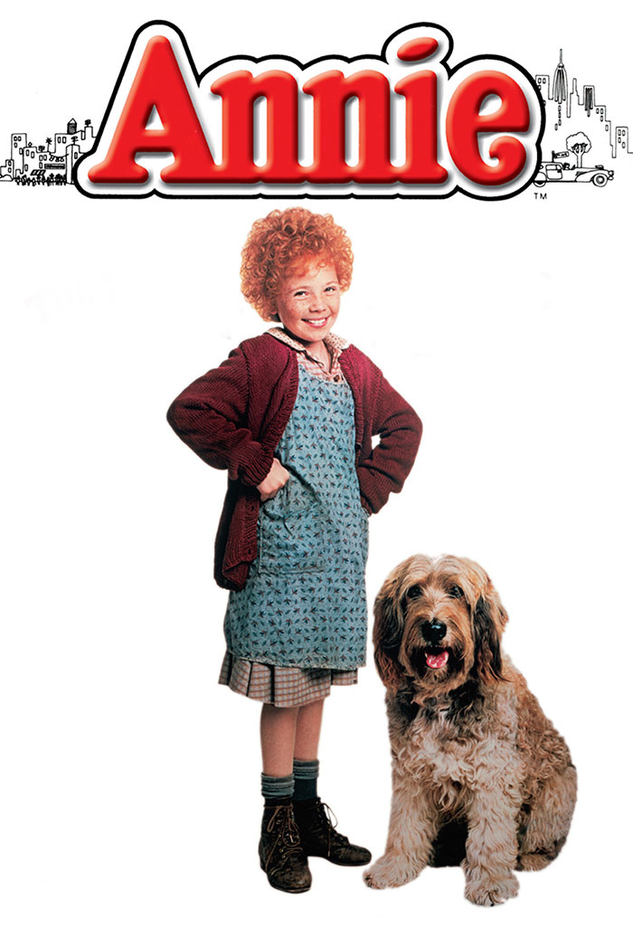 Poster of Annie movie 