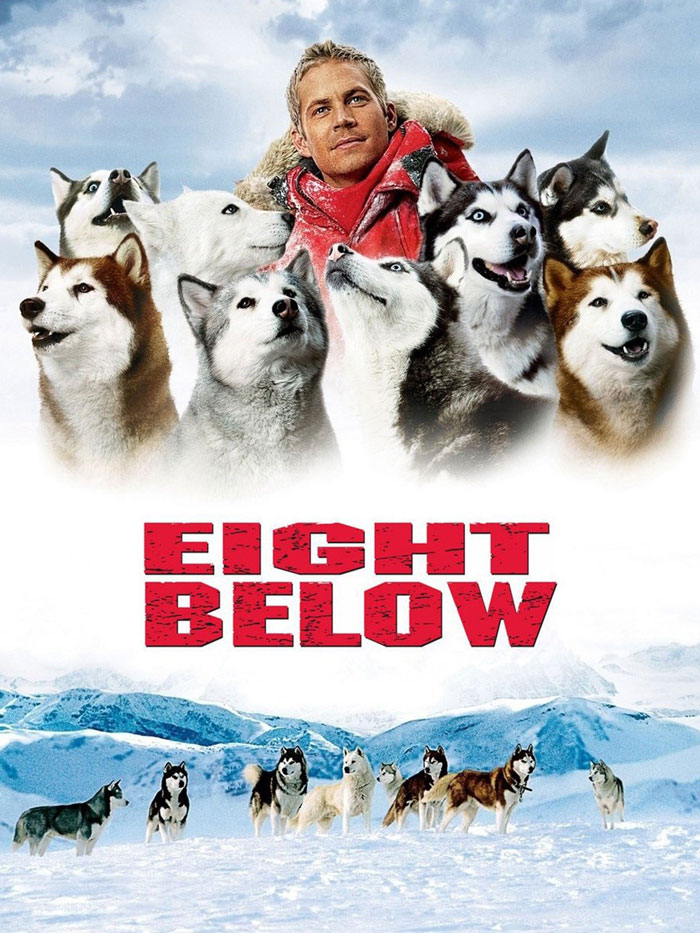 Eight Below