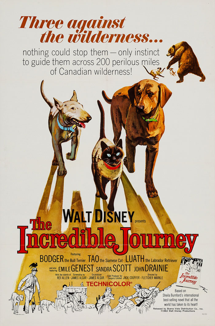 The Incredible Journey