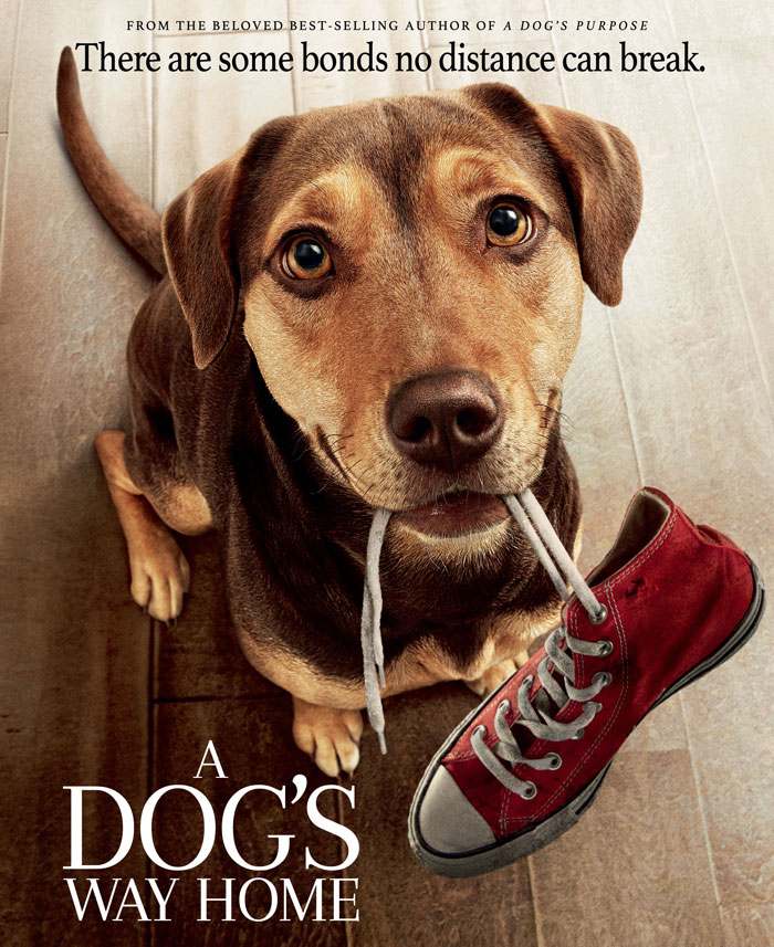 A Dog's Way Home