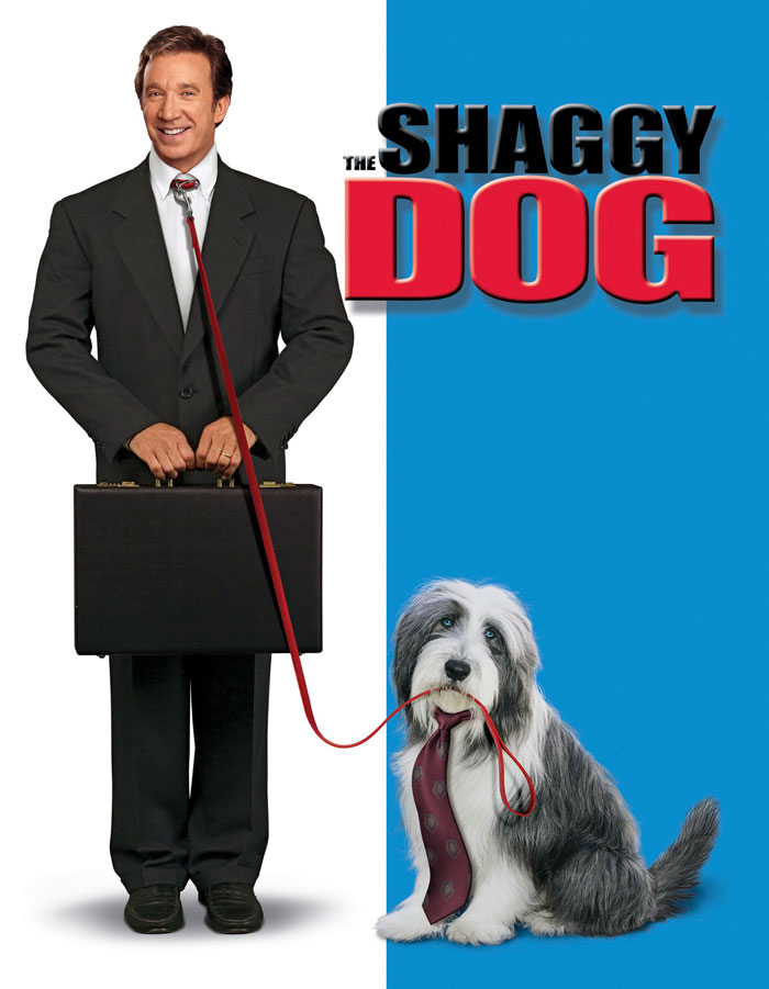 The Shaggy Dog
