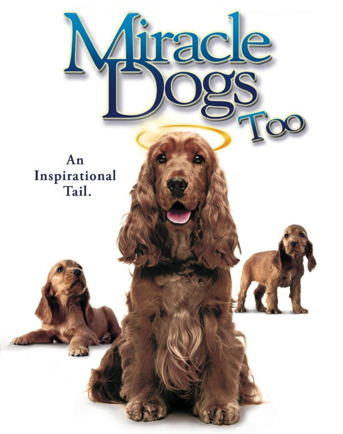 Miracle Dogs