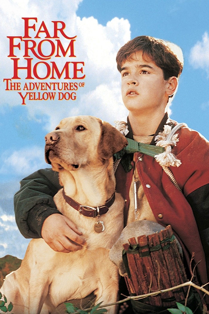 Far From Home: The Adventures Of Yellow Dog