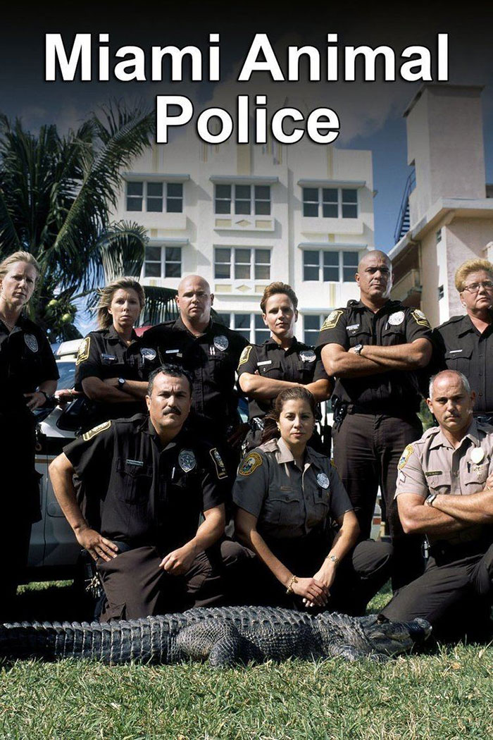 Poster of Animal Cops: Miami tv show 