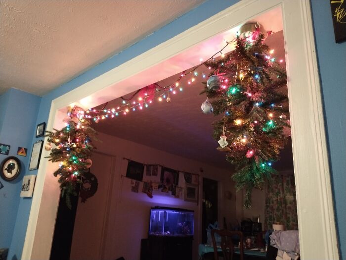 Our 2 Mini Upsidedown Christmas Trees. We Have Cats.