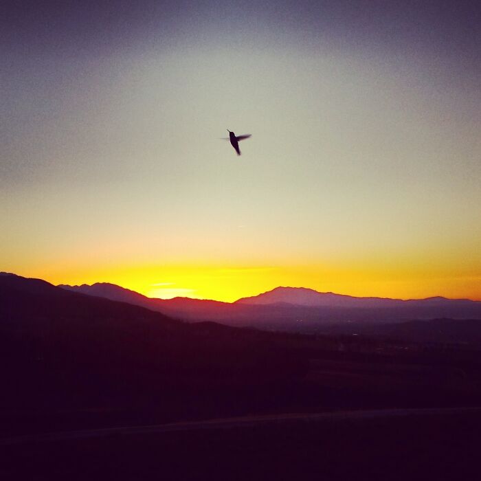 Time For Breakfast (Shot At My Pops Home In Devore, California)