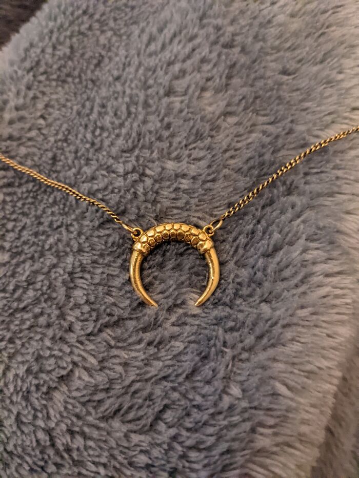 A Horn Neclace And I Also Got A Record Player With Speakers But I Dont Have A Photo