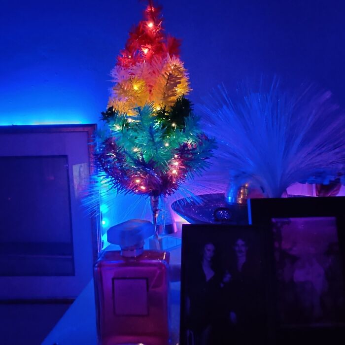 My Tree