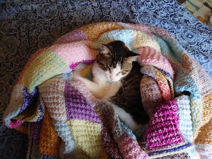 I Made A Little Nest Around Her, She Stayed There For Hours