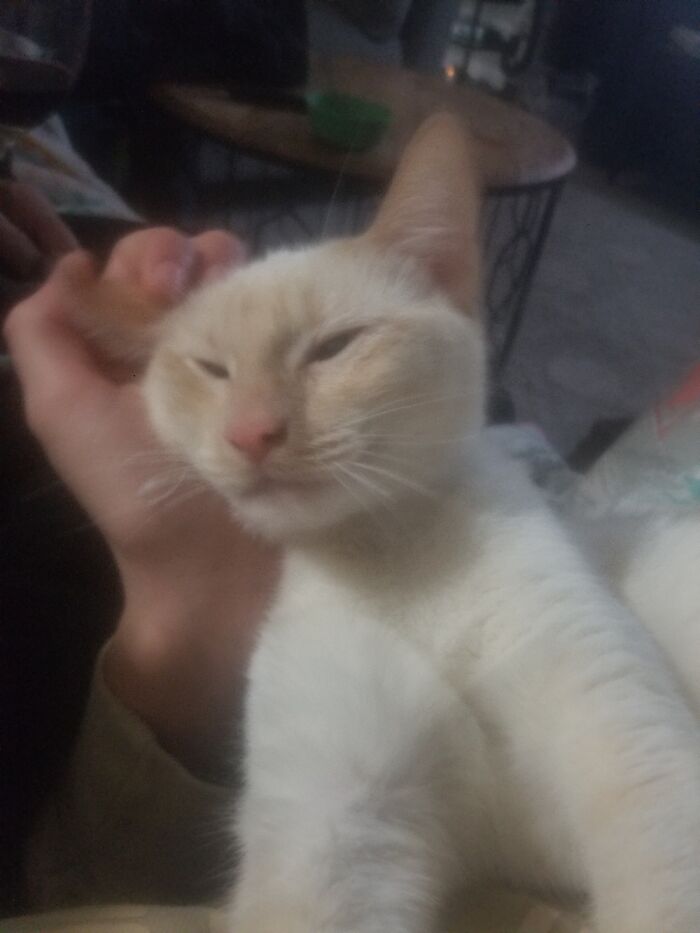 This Is My Baby Lily She Is The Sweetest Thing Ever