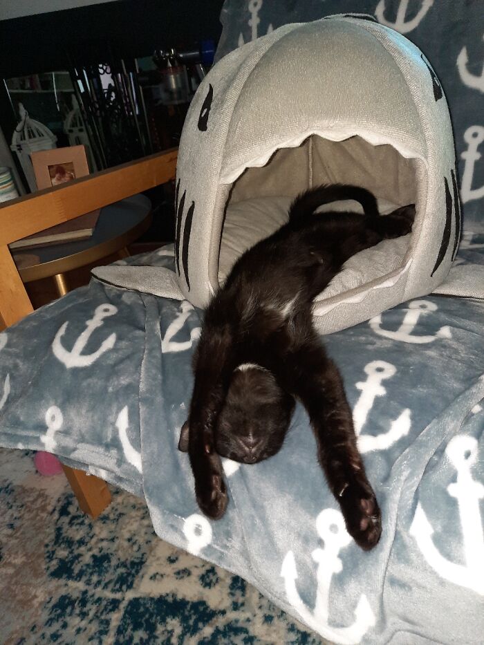 Marty Byrde Out For The Count