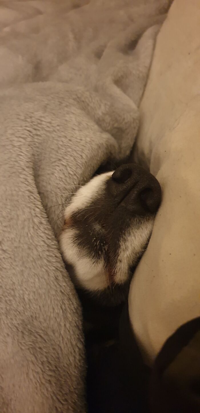 Jess Snuggled Up In Bed With Dad :)