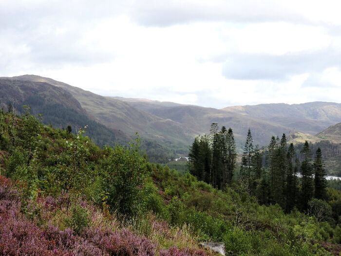 Scotland - Near Glentrool