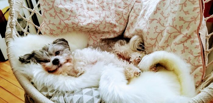 Cozy And Fabulous (^_^)