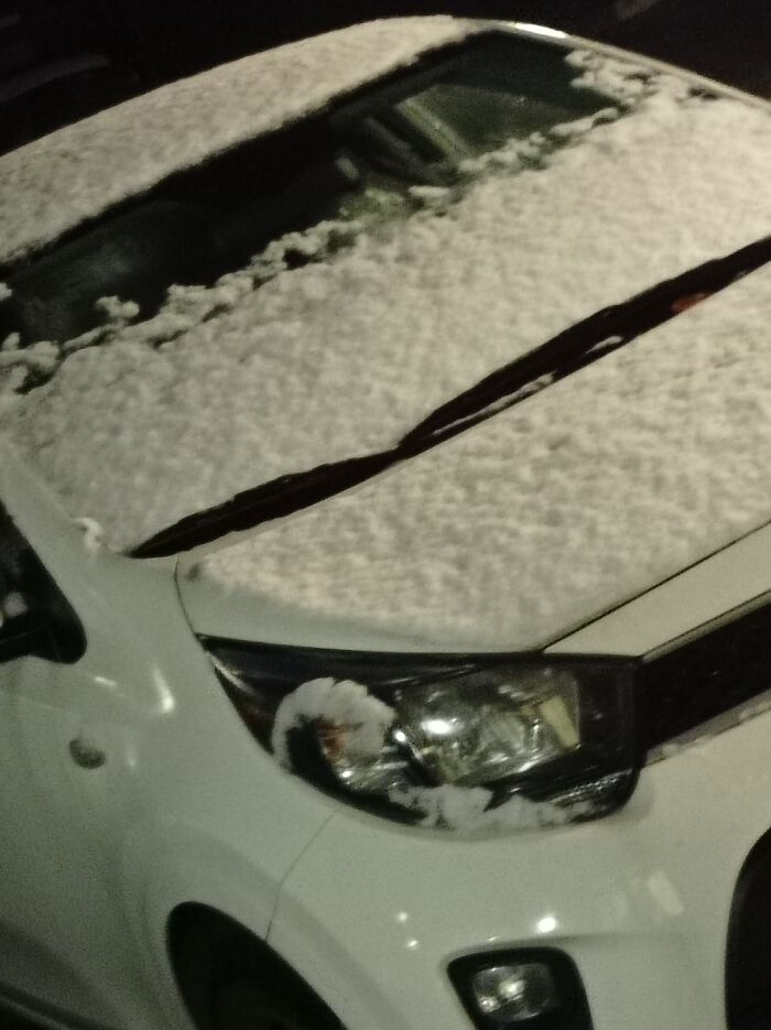 Iin The Netherlands, Last Saturday...