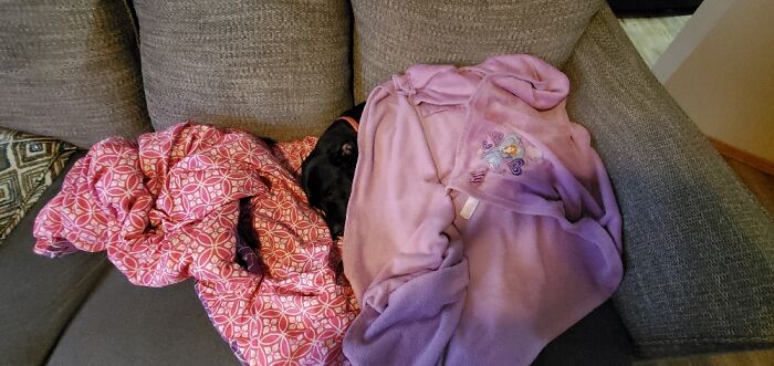 I'm Not The Only One Who Hates Getting Up In The Morning.