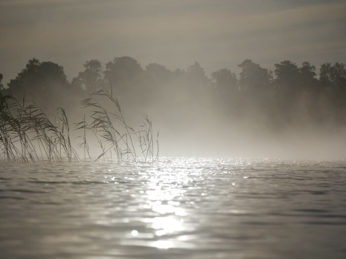 Early In The Morning. Lake Noen, Sweden