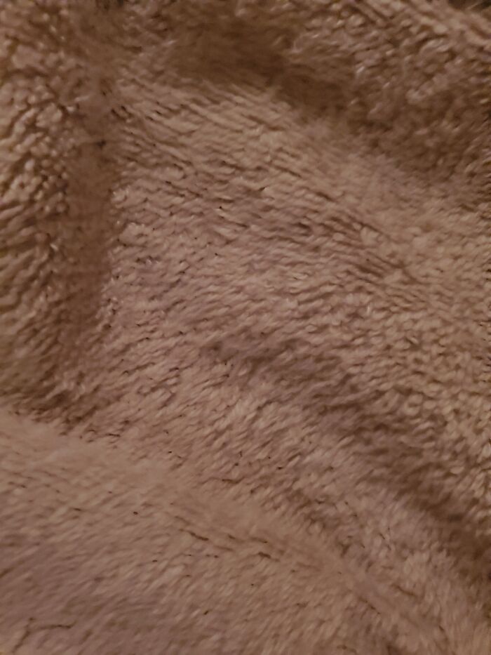 Nothing. Since I Went No Contact With My Toxic Racist Bigoted Family Holidays Spent Alone