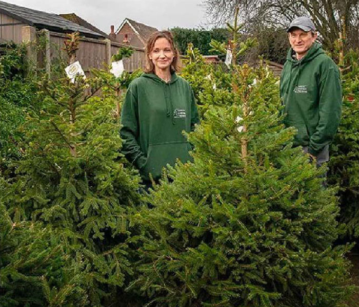 Way To Go To Save Trees