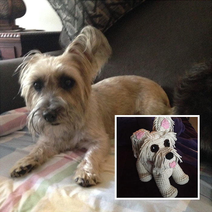My Mother-In-Law Lost Her Dog Last Year And I Crocheted Her A Small Version For Christmas. She Was Over The Moon