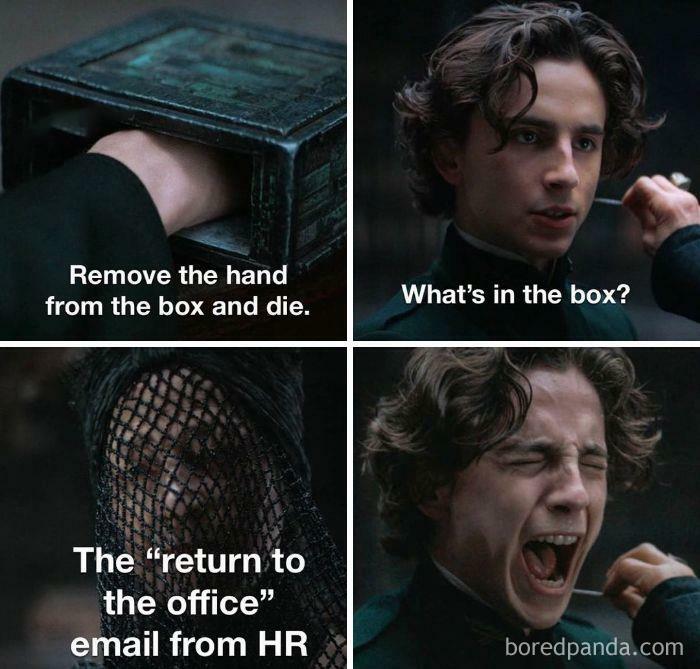 Funny-Corporate-Millennial-Jokes