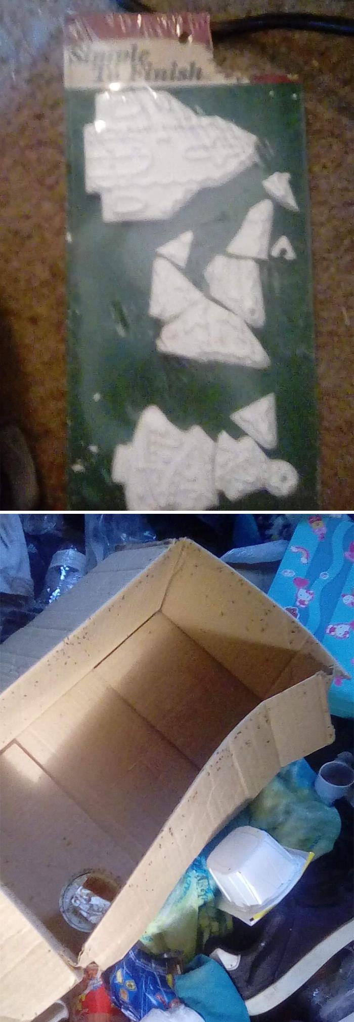 35 People Share Encounters With Someone That Made Them Think “Are You Really That Stupid?”