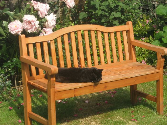 20 hombres revelan el momento exacto que los llevó a divorciarse de sus esposas