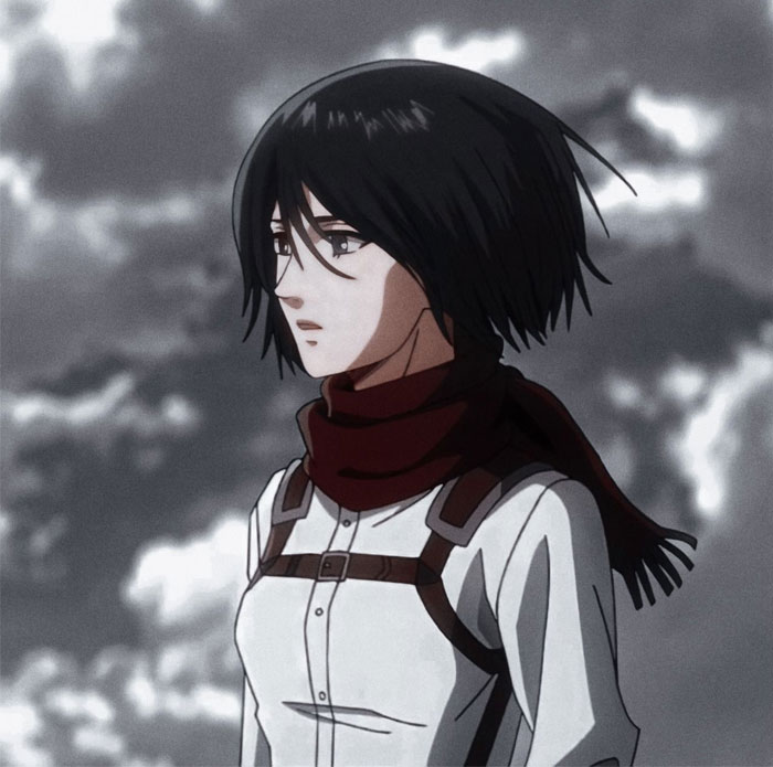 Mikasa wearing a scarf 