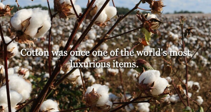 6 Every Day Items That Were Once Unaffordable To Most 6 Every Day Items That Were Once Unaffordable To Most