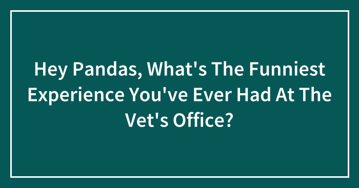 Hey Pandas, What’s The Funniest Experience You’ve Ever Had At The Vet’s Office?