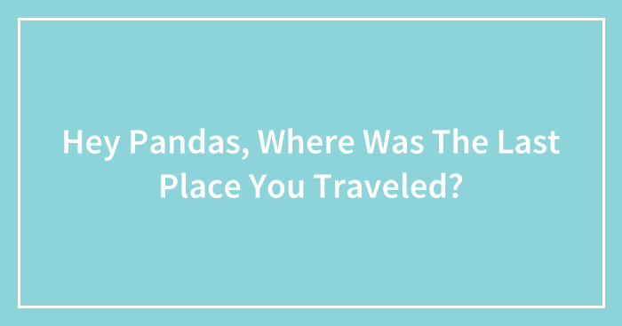 Hey Pandas, Where Was The Last Place You Traveled?
