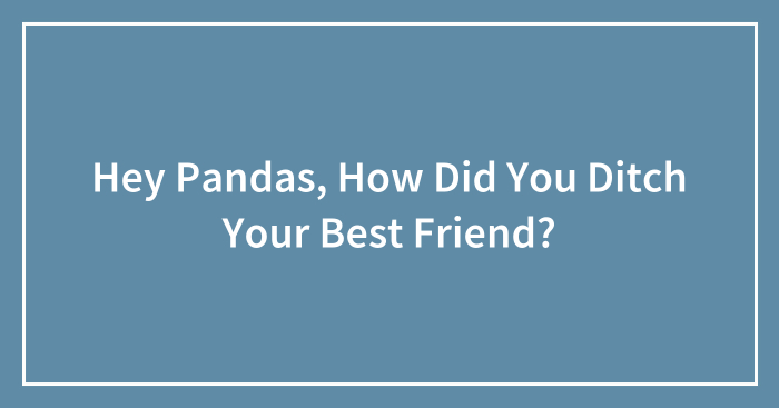 Hey Pandas, How Did You Ditch Your Best Friend?