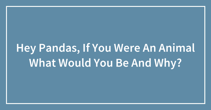 Hey Pandas, If You Were An Animal What Would You Be And Why?