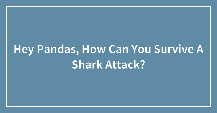 Hey Pandas, How Can You Survive A Shark Attack?