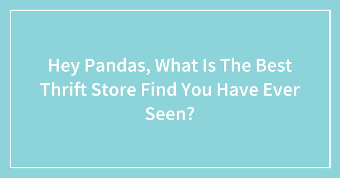 Hey Pandas, What Is The Best Thrift Store Find You Have Ever Seen?