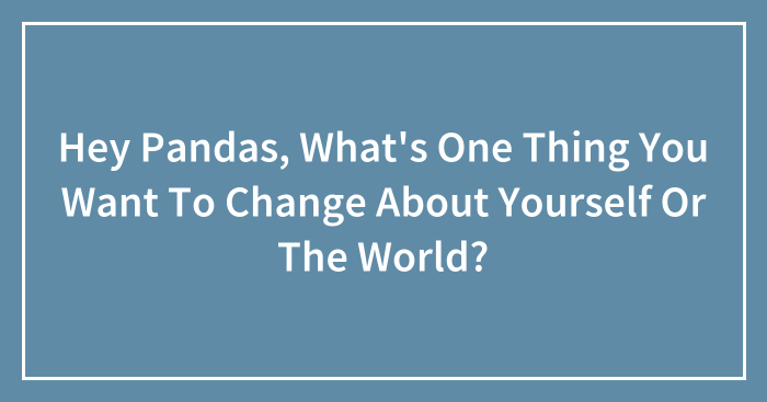 Hey Pandas, What’s One Thing You Want To Change About Yourself Or The World?