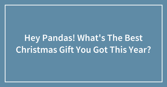 Hey Pandas! What’s The Best Christmas Gift You Got This Year? (Closed)