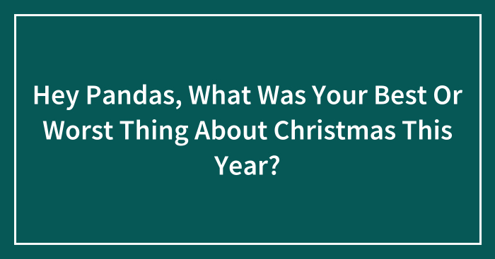 Hey Pandas, What Was Your Best Or Worst Thing About Christmas This Year? (Closed)