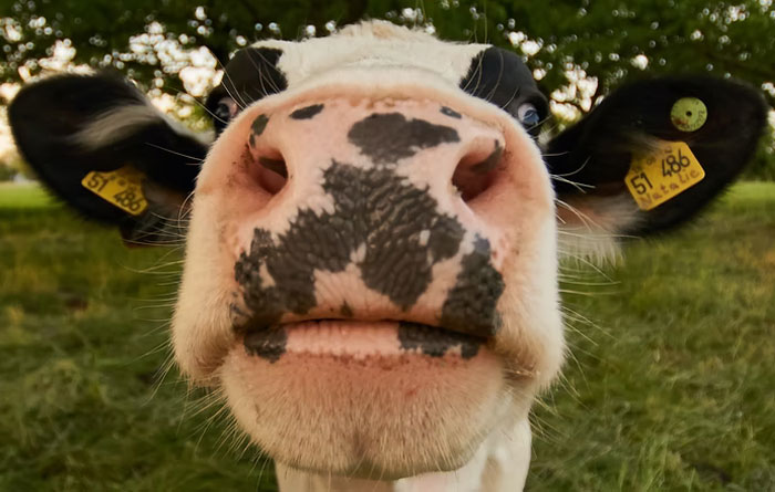 35 People Are Sharing The Craziest And Most Disturbing Stats They Know