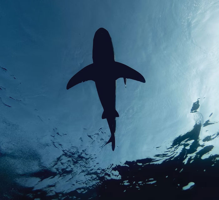 35 People Are Sharing The Craziest And Most Disturbing Stats They Know