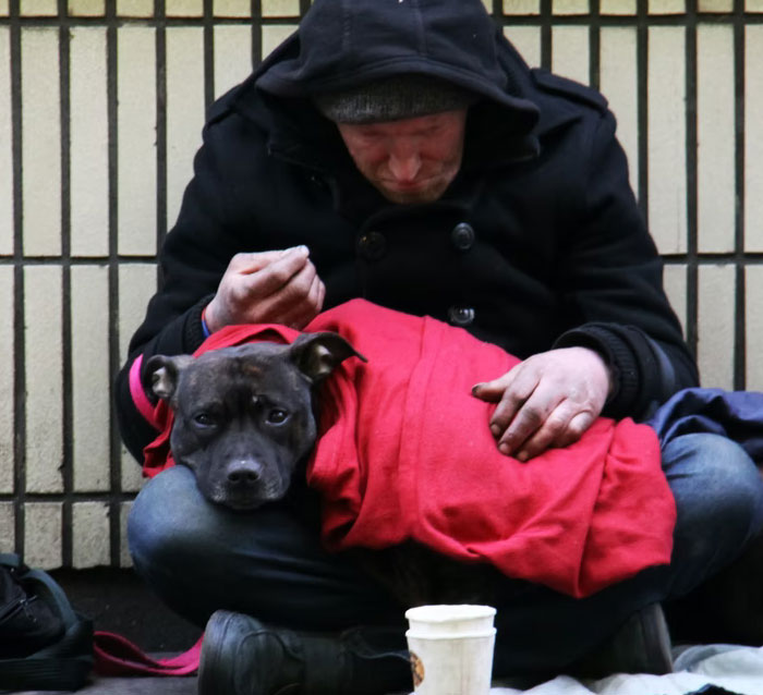 35 People Are Sharing The Craziest And Most Disturbing Stats They Know