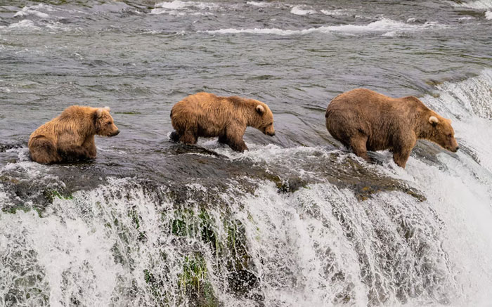 35 People Are Sharing The Craziest And Most Disturbing Stats They Know